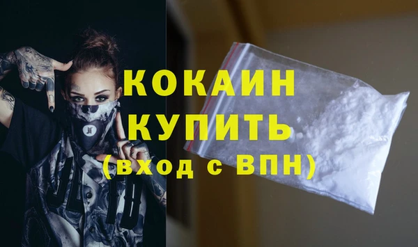 2c-b Инсар
