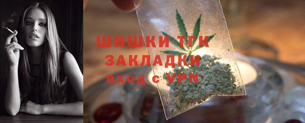 2c-b Инсар