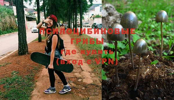 прущая мука Инта