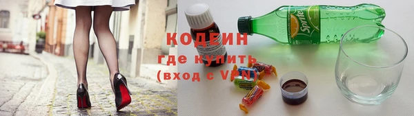 2c-b Инсар