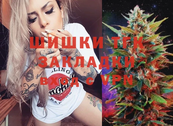 2c-b Инсар