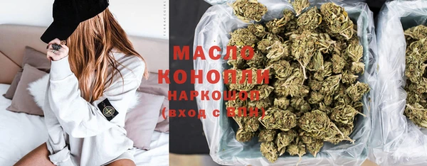 2c-b Инсар