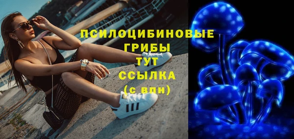прущая мука Инта