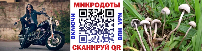 Псилоцибиновые грибы MAGIC MUSHROOMS  Пудож 